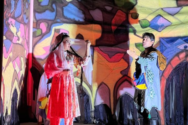 Jizzax viloyat musiqali drama teatrida oliy ta’lim muassasalari talabalari uchun «AYOL» spektakli namoyish etildi.